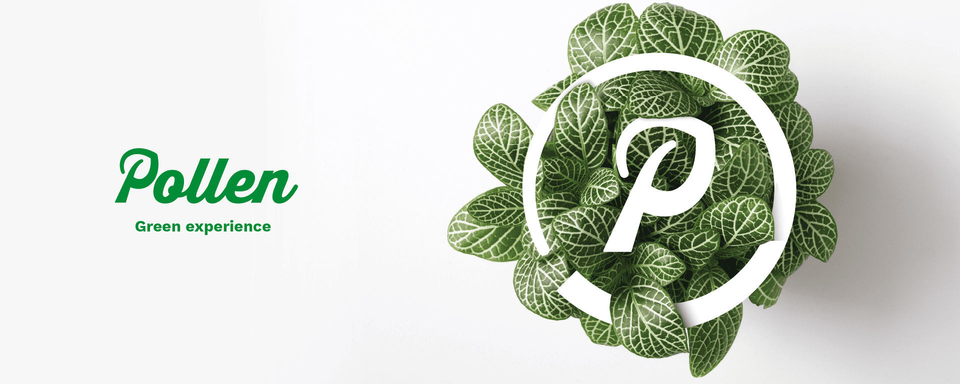 Branding DISEÑADOR GRÁFICO EN BARCELONA